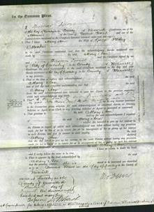 Court of Common Pleas - Mary Ann Meakin-Original Ancestry