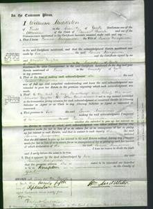 Court of Common Pleas - Louisa Marginson-Original Ancestry