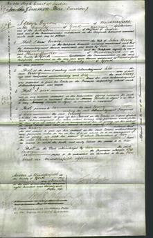 Court of Common Pleas - Mary Berry-Original Ancestry