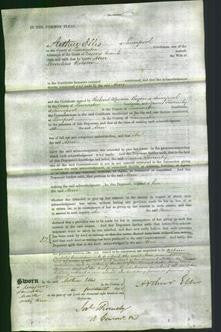 Court of Common Pleas - Ann Robson-Original Ancestry