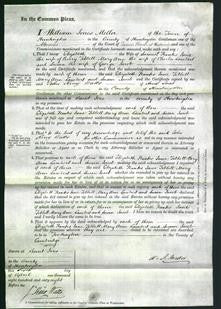 Court of Common Pleas - Elizabeth Franks, Jane Tibbett, Mary Ann Lambert and Susan Jacob-Original Ancestry