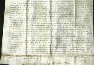 Court of Common Pleas - Ellen Clark, Ann Lees, Hannah Corner and Eliza Harrison-Original Ancestry