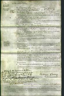 Court of Common Pleas - Laura Georgiana Cooper-Original Ancestry