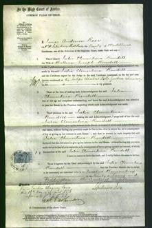 Court of Common Pleas - Julia Clementina Rundell-Original Ancestry