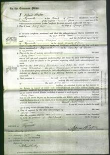 Court of Common Pleas - Mary Ann Parson-Original Ancestry