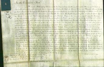 Court of Common Pleas - Ann Webber and Elizabeth Farrant-Original Ancestry