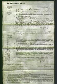 Court of Common Pleas - Mary Ann Kirby-Original Ancestry