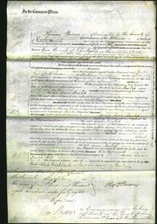 Court of Common Pleas - Ann Heslop-Original Ancestry