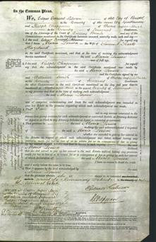 Court of Common Pleas - Maria Louisa Hazeland-Original Ancestry