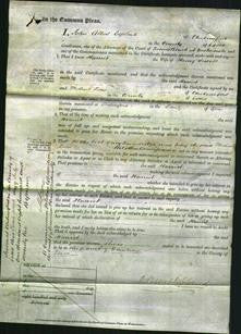 Court of Common Pleas - Harriet Sewell-Original Ancestry