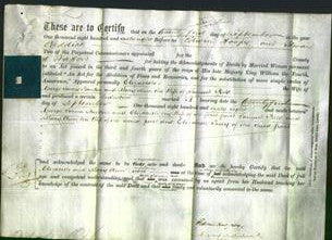 Deed by Married Women - Elizabeth Stanton and Mary Ann Field-Original Ancestry