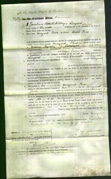 Court of Common Pleas - Margaret Price-Original Ancestry