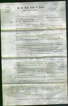 Court of Common Pleas - Fanny Vaughan-Original Ancestry