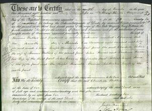 Deed by Married Women - Charlotte Walker-Original Ancestry