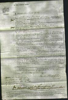 Court of Common Pleas - Maria Robertson Hickling-Original Ancestry