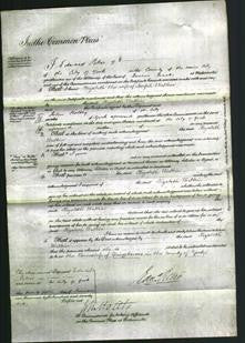 Court of Common Pleas - Elizabeth Watkin-Original Ancestry