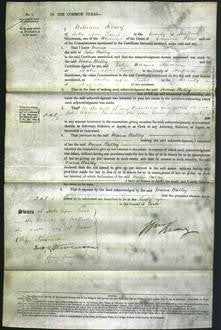 Court of Common Pleas - Maria Walley-Original Ancestry