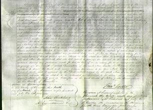 Court of Common Pleas - Ann Fowler-Original Ancestry