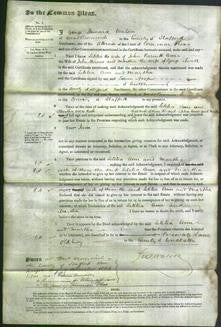 Court of Common Pleas - Letitia Barnett, Ann Hirons and Martha Elwell-Original Ancestry