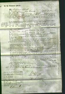 Court of Common Pleas - Elizabeth Gunson-Original Ancestry