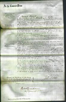Court of Common Pleas - Jemima Withers, Sarah Ann Sawyer and Fanny Britton-Original Ancestry
