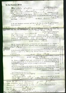 Court of Common Pleas - Ann Poole-Original Ancestry