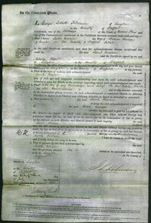 Court of Common Pleas - Sarah Rowson-Original Ancestry