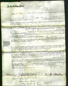 Court of Common Pleas - Caroline Lay-Original Ancestry