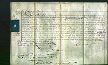 Court of Common Pleas - Rachel Wilcox-Original Ancestry