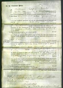 Court of Common Pleas - Elizabeth Smith Harrison Clark-Original Ancestry