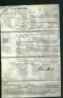 Court of Common Pleas - Frances Riley-Original Ancestry