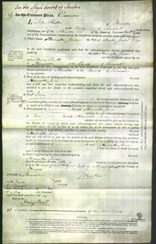 Court of Common Pleas - Henrietta Jane Wrey-Original Ancestry