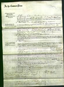 Court of Common Pleas - Jane Addison-Original Ancestry