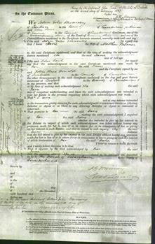 Court of Common Pleas - Jane Palmer-Original Ancestry