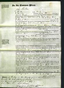 Court of Common Pleas - Mary Holt, Hannah Spiers and Ann Price-Original Ancestry