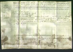 Deed by Married Women - Adelaide Cassels-Original Ancestry