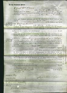 Court of Common Pleas - Ellen Goodwin-Original Ancestry