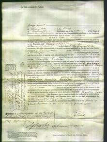 Court of Common Pleas - Martha Nation-Original Ancestry