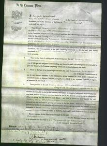 Court of Common Pleas - Mary Ann Bindemann-Original Ancestry