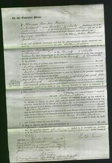 Court of Common Pleas - Esther Jackson-Original Ancestry