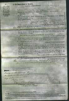 Court of Common Pleas - Ellen Elizabeth Moser-Original Ancestry