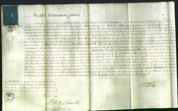 Court of Common Pleas - Ann Sills-Original Ancestry