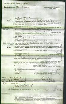 Court of Common Pleas - Ann Harper Rowe