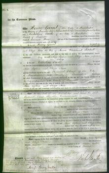 Court of Common Pleas - Ann Sophia Siddall and Eliza Ann Siddall-Original Ancestry