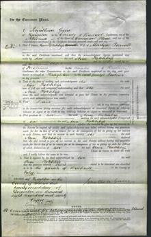 Court of Common Pleas - Ann Hotchkiss Parnall-Original Ancestry