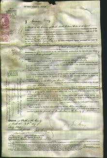 Court of Common Pleas - Clarissa Amelia Sharp-Original Ancestry