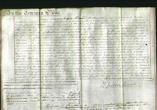 Court of Common Pleas - Sarah Thorne-Original Ancestry