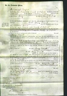Court of Common Pleas - Mary Drewett-Original Ancestry