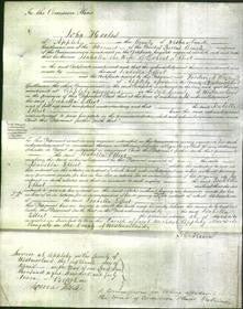 Court of Common Pleas - Isabella Elliot-Original Ancestry