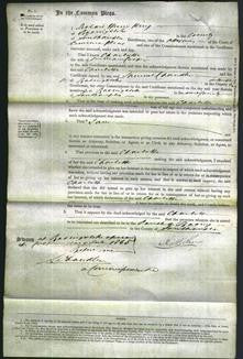 Court of Common Pleas - Charlotte Cooper-Original Ancestry